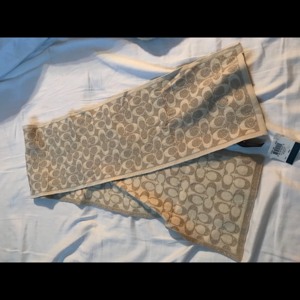 Large Coach Muffler